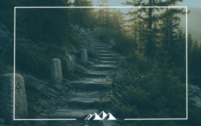 Transforming Information into Wisdom: The Journey of Knowledge Internalization