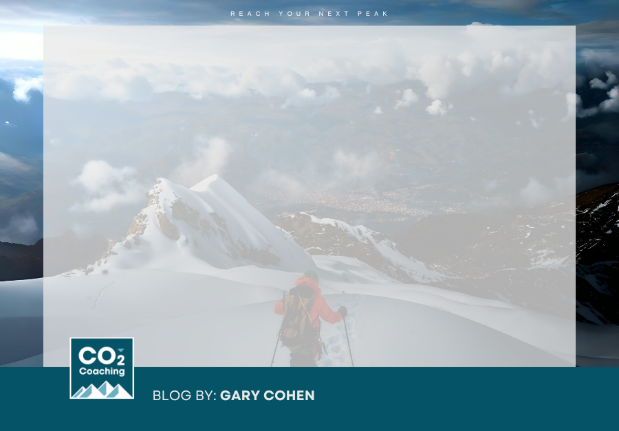 Chief Executive Coaching: Charting a Bold Course in Leadership’s Vast Terrain