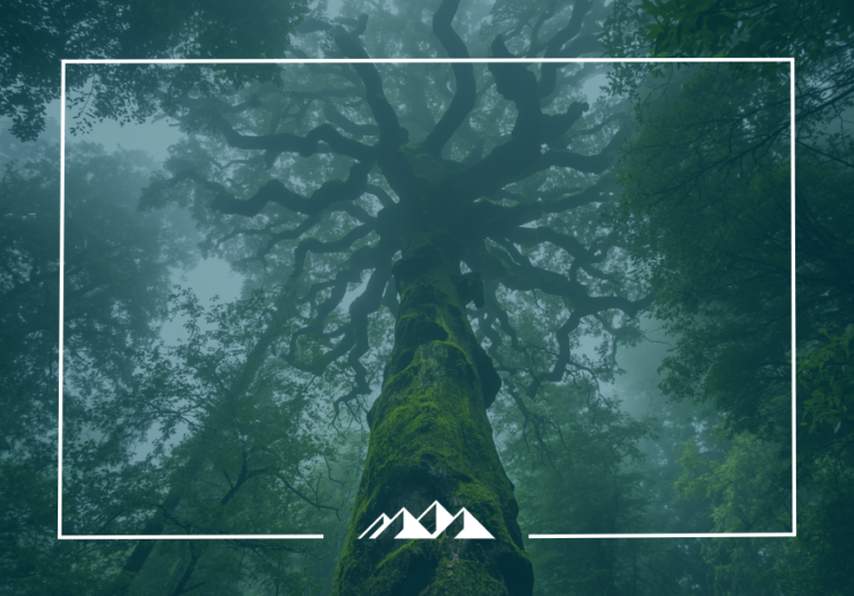 evolving identity