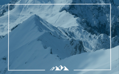 ASCENT Leadership Model: Executive Leadership Assessment