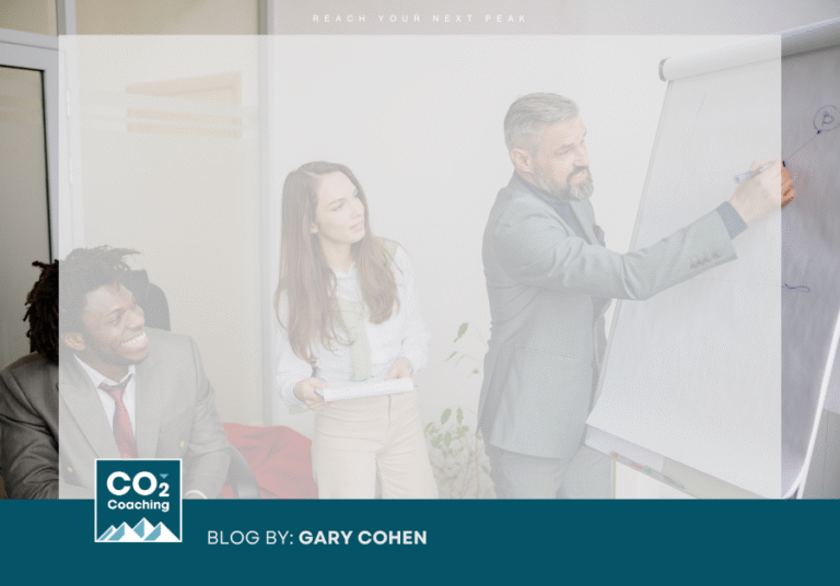 Coaches providing executive coaching leadership