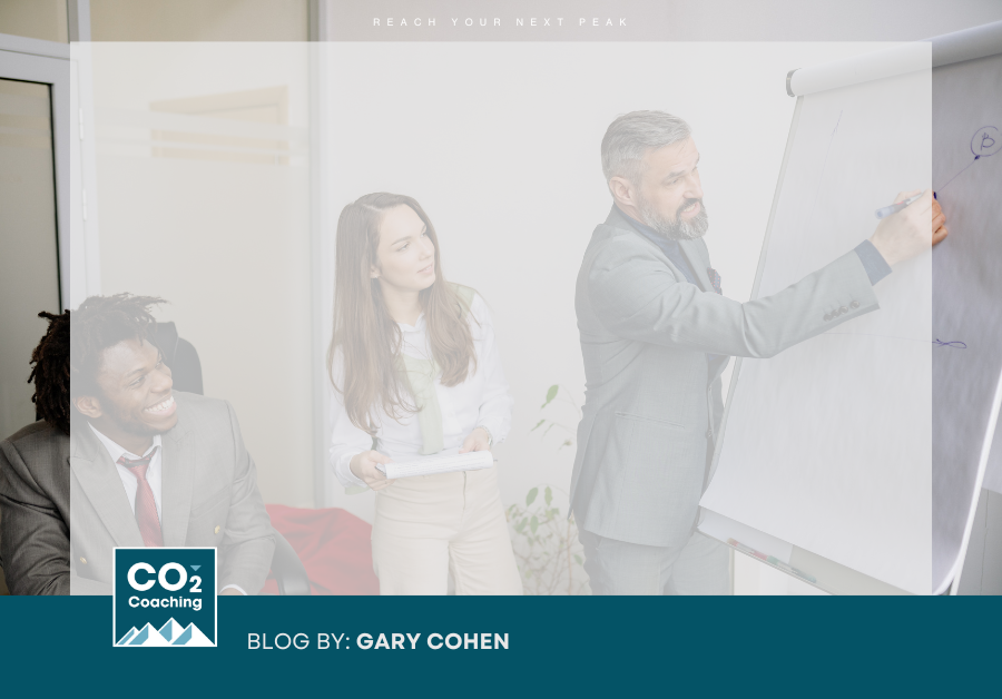 Coaches providing executive coaching leadership