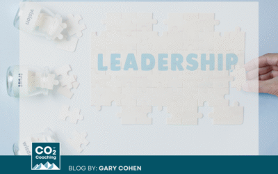 The Executive Coaching Advantage for Transformational Leaders