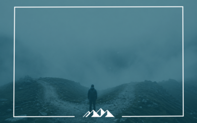 Where Does Authority Live in Your Company?