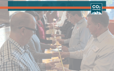 Finding and Using Leverage Points in Business Coaching